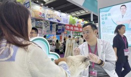 深圳宠物医院爆料新闻,宠物健康问题引发行业关注